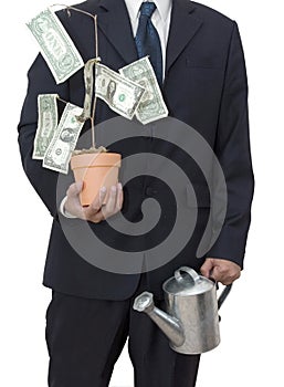 Businessman with money tree