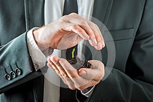 Businessman nurturing a germinating seedling