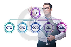 Businessman in the organisation chart concept