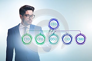 Businessman in the organisation chart concept