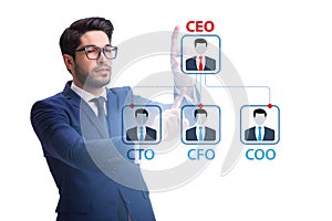 Businessman in the organisation chart concept