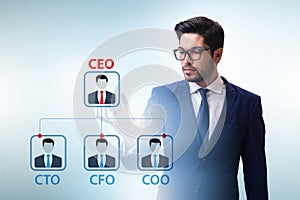 Businessman in the organisation chart concept