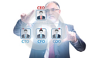 Businessman in the organisation chart concept