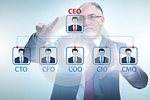 Businessman in the organisation chart concept