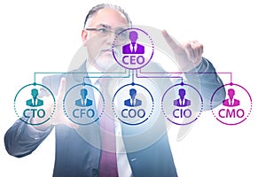 Businessman in the organisation chart concept