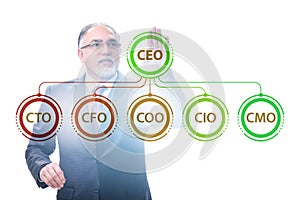 Businessman in the organisation chart concept