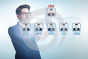 Businessman in the organisation chart concept