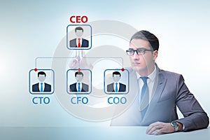 Businessman in the organisation chart concept