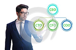 Businessman in the organisation chart concept