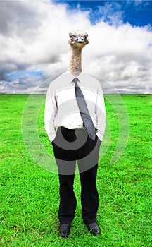 Businessman with Ostrich head