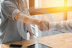 Businessman and partner shaking hands