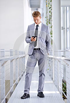 Businessman, phone or research on social media, networking website or reading news in workplace. Check, chat or employee