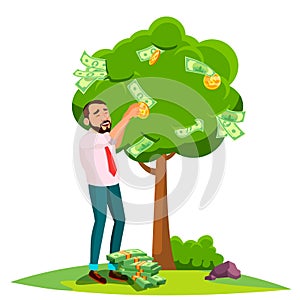 Businessman Pick An Money From A Tree Instead Of Leaves Vector. Isolated Illustration