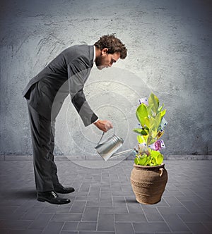 Businessman with a plant of money