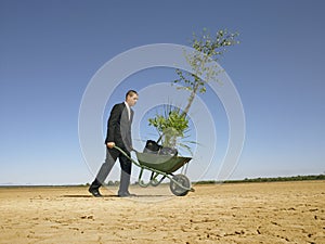 Businessman planting tree in desert full length photo