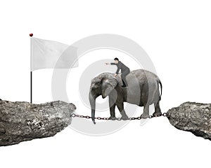 Businessman with pointing finger riding elephant toward white flag
