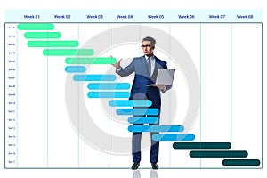 Businessman in project management concept