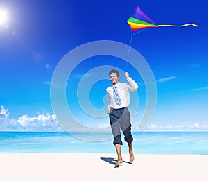 Businessman Relaxing Beach Holiday Vacations Concept