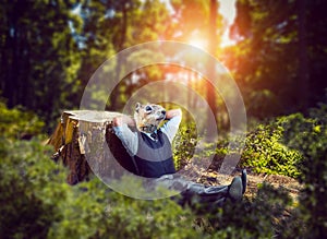 Businessman with rodent head sitting in the forest photo