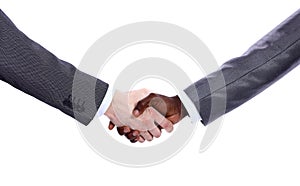 Businessman's hand shaking white businessman's han