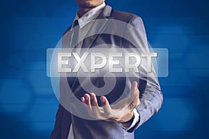 Businessman or Salaryman with Expert text modern interface conce