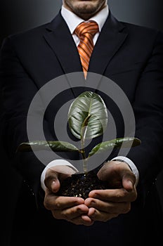 Businessman with scion rubber plant