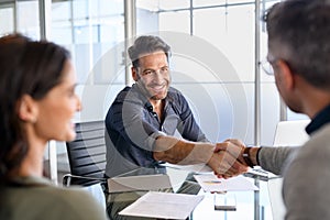 Businessman shaking hands with client