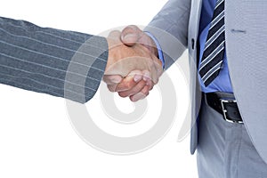 Businessman shaking hands with a co worker