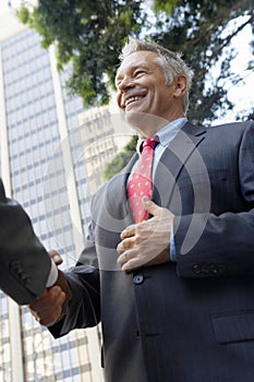 Businessman Shaking Hands With Partner