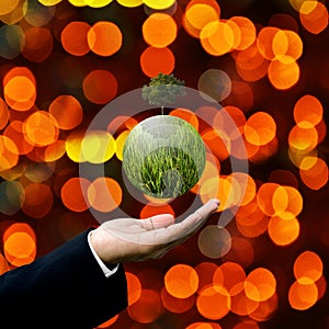 Businessman share green plant by hand