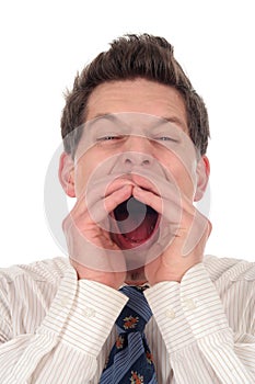 Businessman Shouting