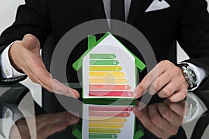 Businessman Showing Energy Efficient Chart On House Model