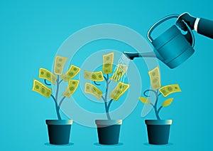 Businessman Silhouette Investment Tree Watering