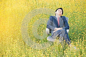 Businessman sleeping in flower field