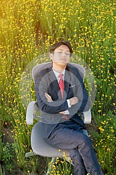 Businessman sleeping in flower field