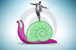 Businessman with snail in slow business concept