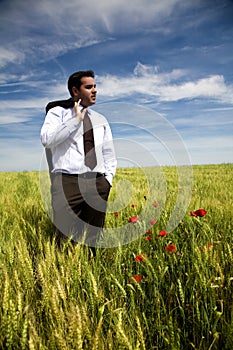 Businessman in a spring field