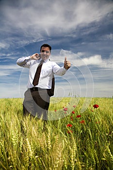 Businessman in a spring field