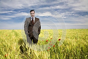 Businessman in a spring field