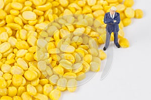 Businessman standing on bean seed