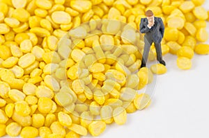 Businessman standing on bean seed