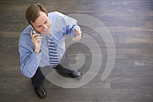 Businessman standing indoors using cellular phone