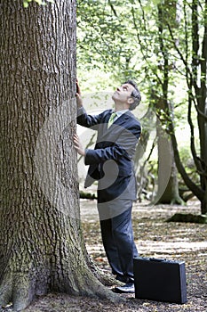 Businessman Stroking Tree Trunk In Forest