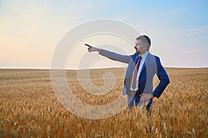 businessman in a suit stands in a field of ripe wheat and points with his hand. Copy space. insurance agent