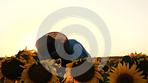 Businessman with tablet examines his field with sunflowers. Farmer walks in a flowering field. Agronomist man