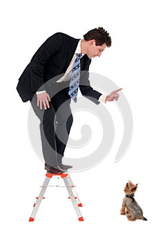 Businessman on top of a ladder pointing at dog