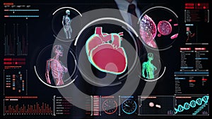 Businessman touching digital screen, Female body scanning blood vessel, lymphatic, heart, circulatory system in digital display d