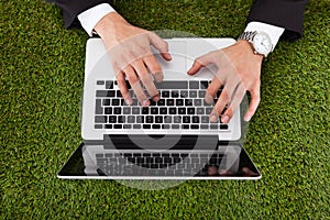 Businessman using laptop on grass