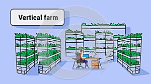 Businessman using laptop sitting office workplace plants smart farming system concept modern vertical organic farm