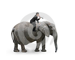 Businessman with using speaker riding on walking elephant